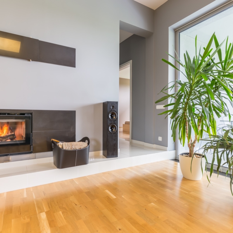 Contemporary apartment