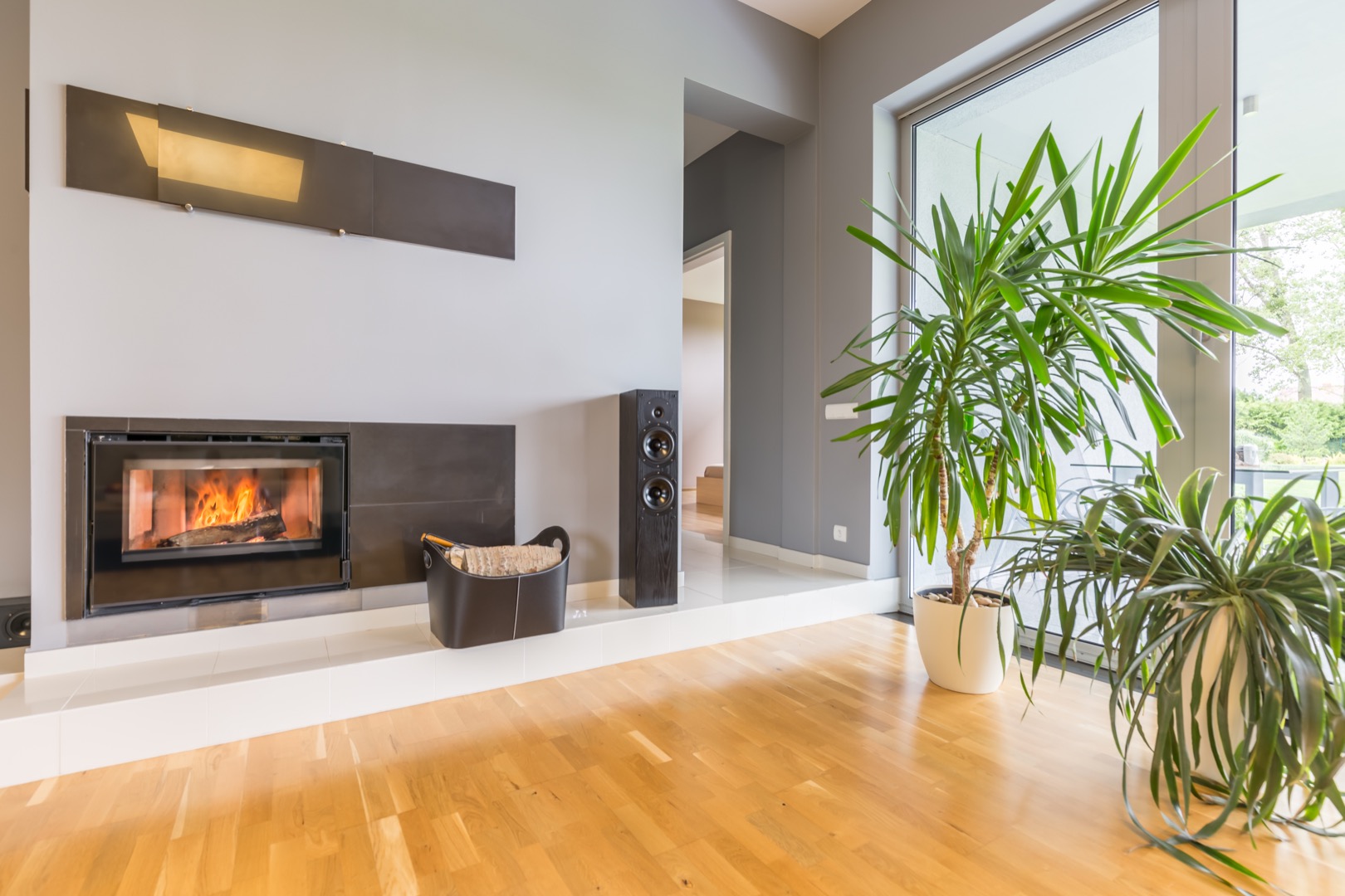 Contemporary apartment